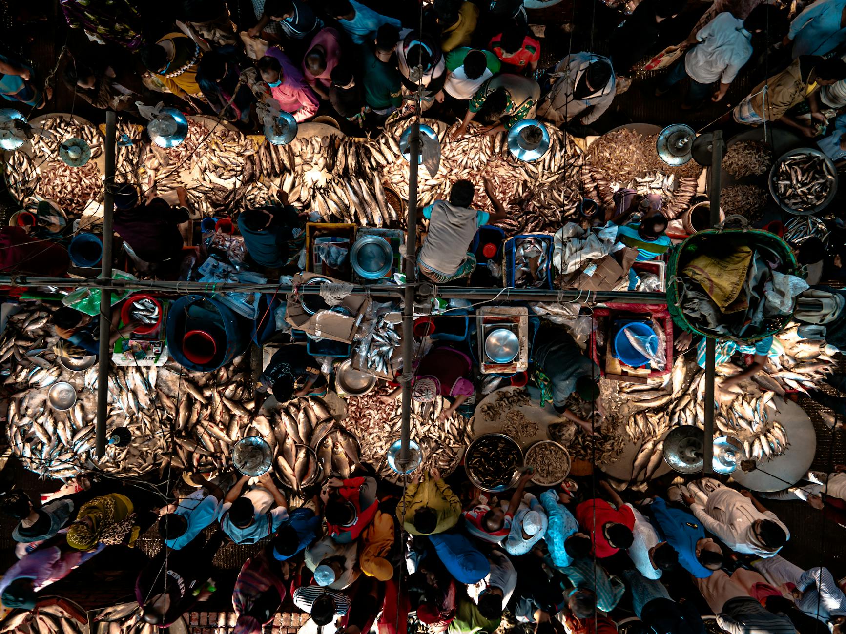 அமெரிக்க சந்தையில் சிறப்பு அணுகல் வேண்டும் - பீயூஷ் கோயல்