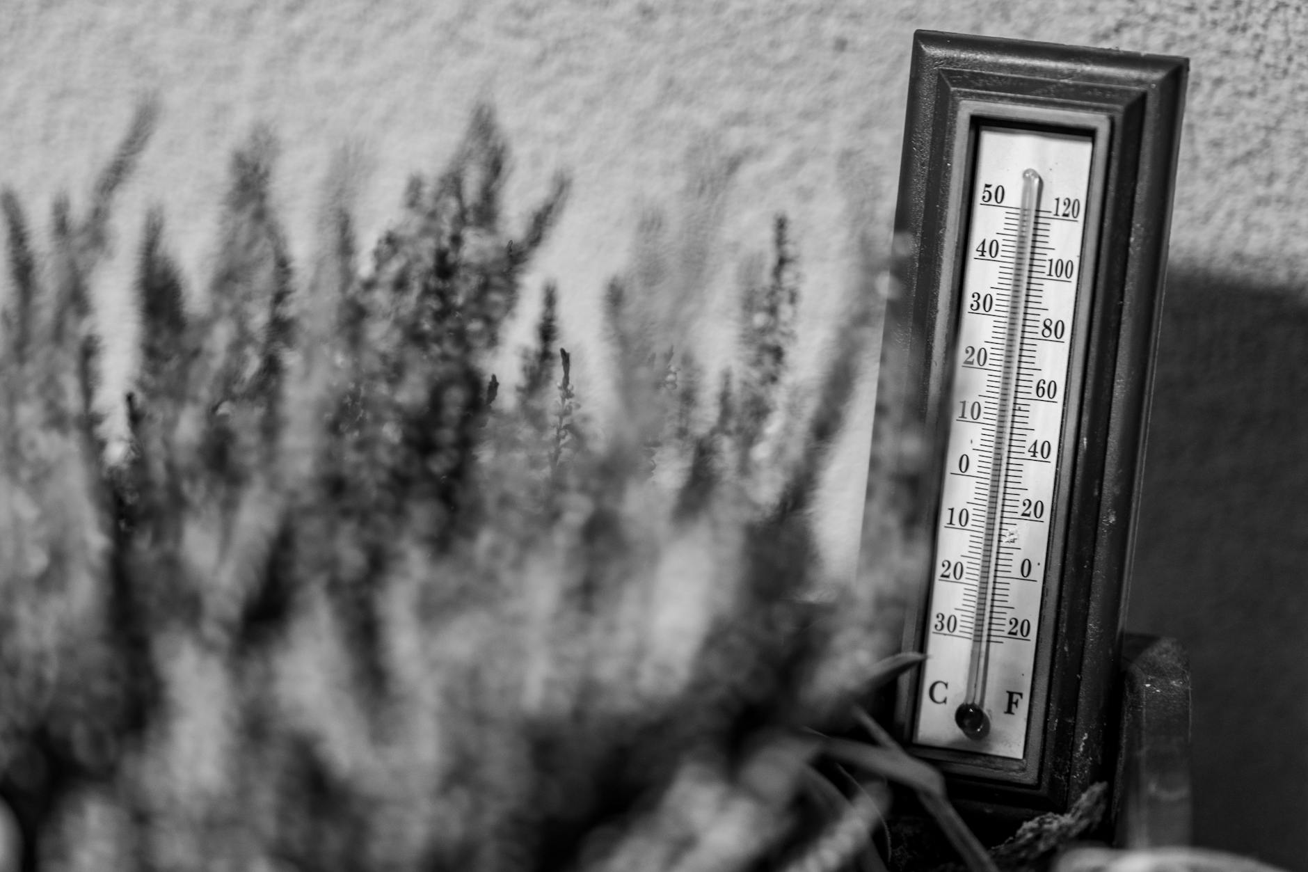 தமிழகத்தில் ஏழு மாவட்டங்களில் வெயில் 40 டிகிரியைத் தாண்டியது