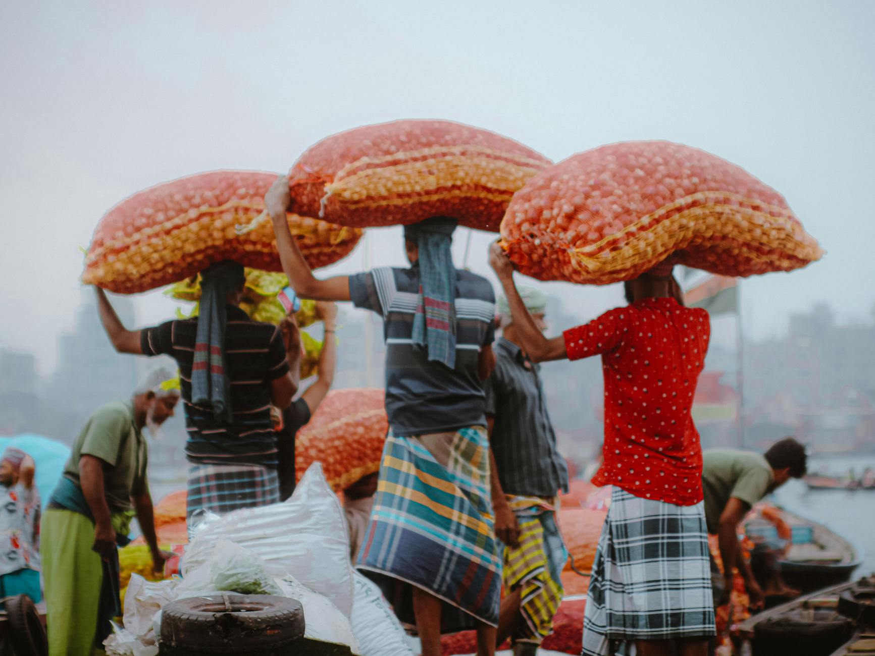 வங்கதேசம் இந்தியாவிடமிருந்து அதிக டீசல், உரம் வழங்கல் கோரிக்கை