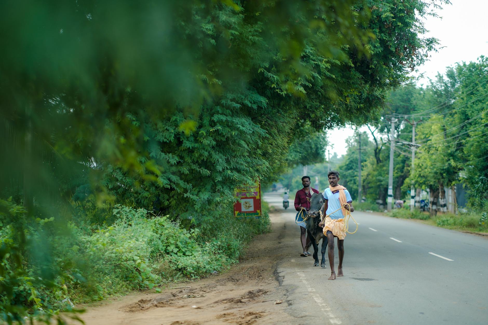 தமிழ்நாட்டில் இரு வாரங்களுக்கு கடும் வெப்பம் - வானிலை எச்சரிக்கை