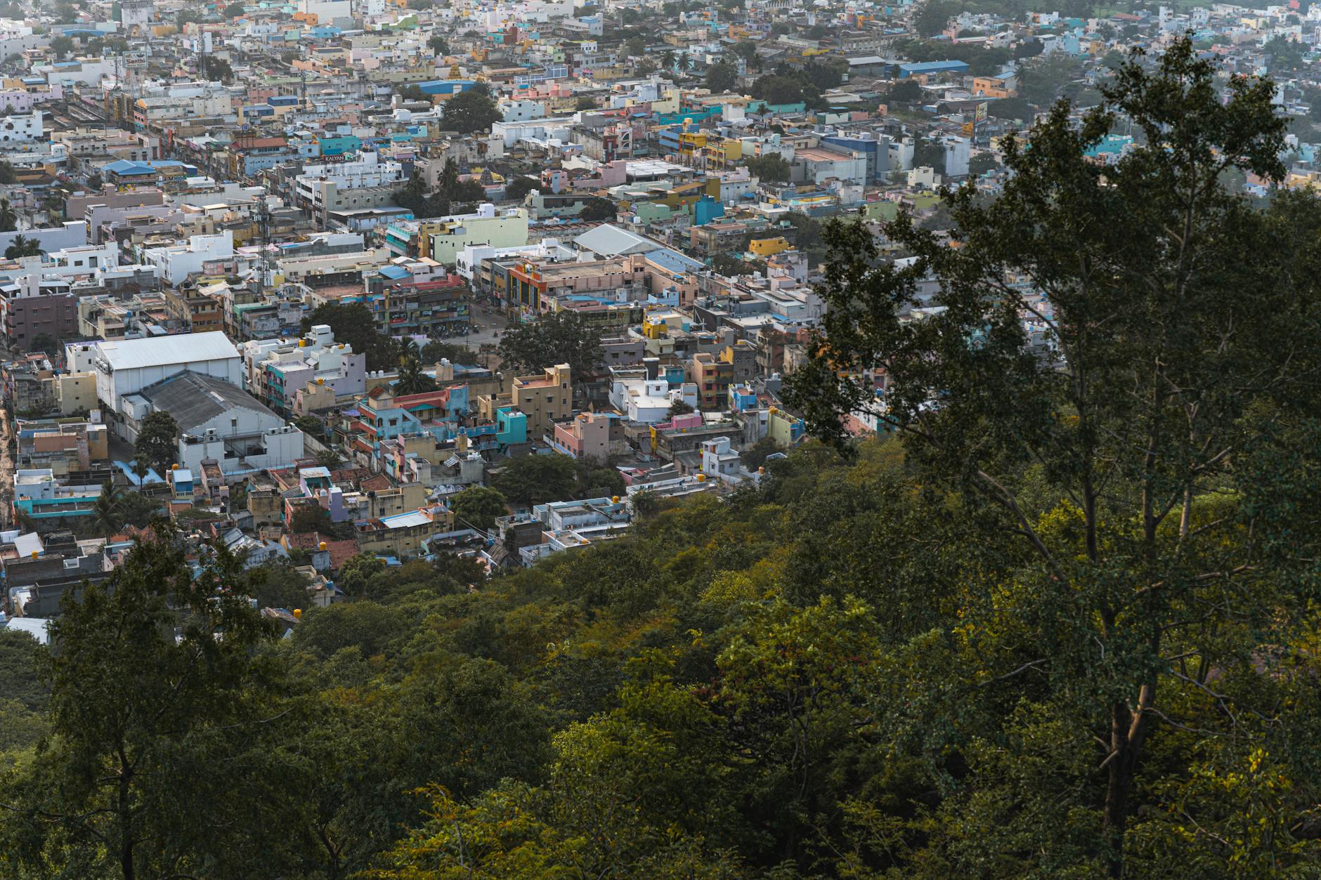 தமிழக பாஜக நிர்வாகிகளுடன் பிரதமர் மோடி இன்று ஆலோசனை