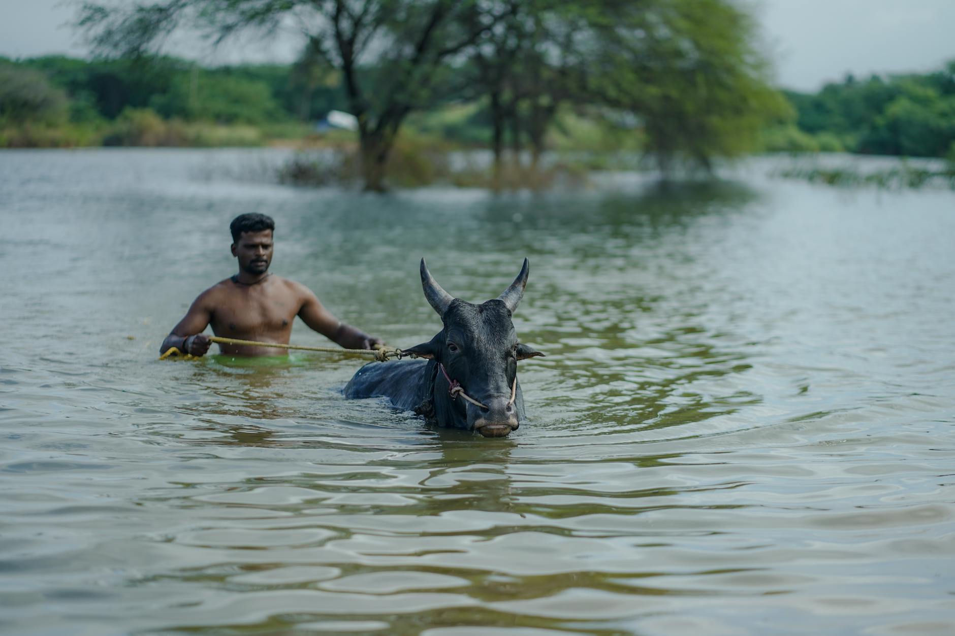 தமிழகத்தின் 13 மாவட்டங்களில் கடும் வெப்பம்.. வெயில் அதிர்ச்சி