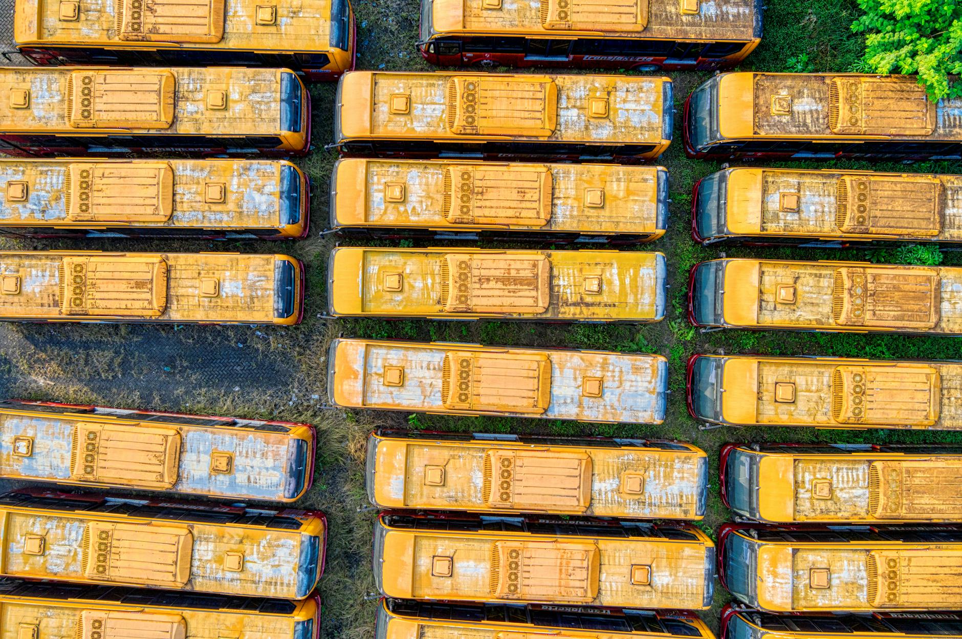 தேர்தலுக்காக சிறப்பு பேருந்துகள் - தமிழ்நாடு போக்குவரத்துக்கழகம் அறிவிப்பு