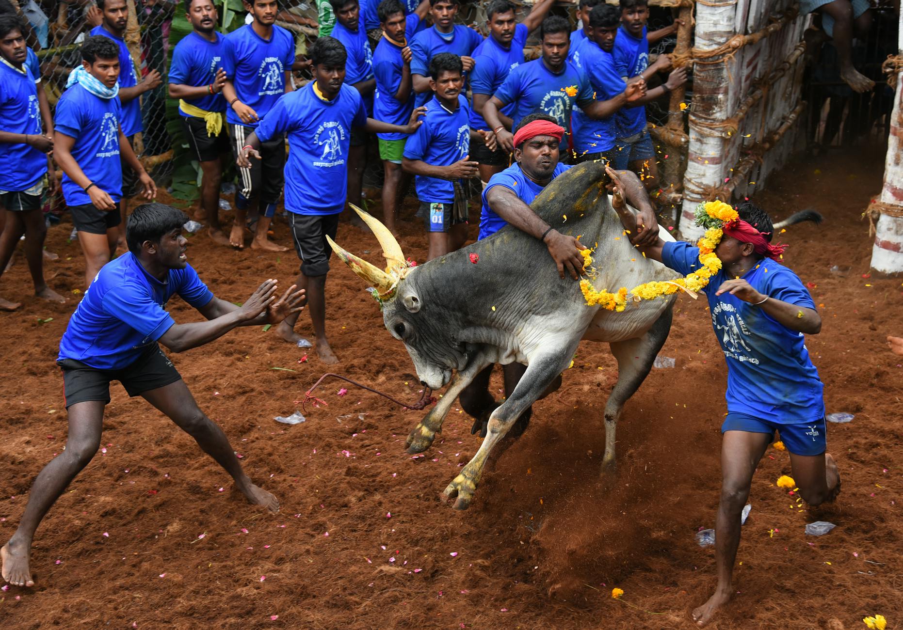 முதல்வர் விஜய் அமைச்சரவையில் அதிர்ச்சி மாற்றங்கள் - முழு பட்டியல்